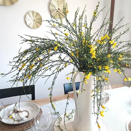 Mirador Do Con * Moaña