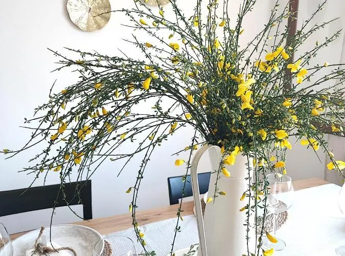 Mirador Do Con * Moaña